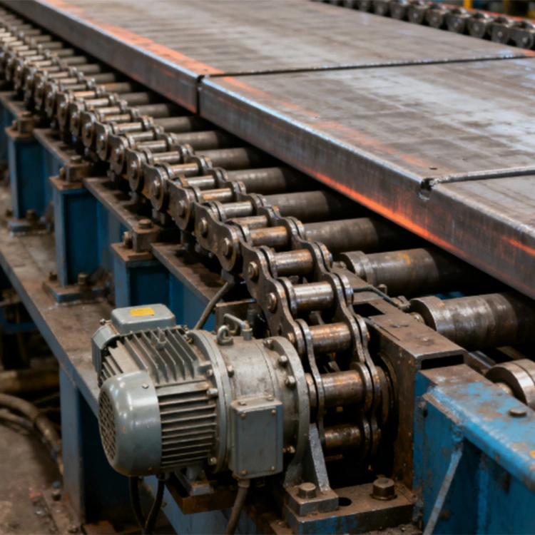 Giường lạnh kiểu dây chuyền vận chuyển